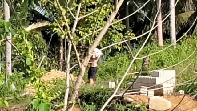 Батя посадил огурцы | Стяжка для дапуга | Отец и сын строят домик в деревне