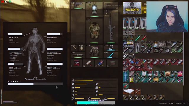 В ПОИСКАХ CUMБИНЕЗОНА S.T.A.L.K.E.R ANOMALY R.E.A.L.I.T.Y смотреть онлайн