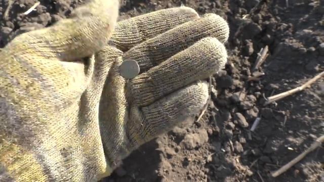 Попал на Царские Дома Первый после вспашки. смотреть онлайн