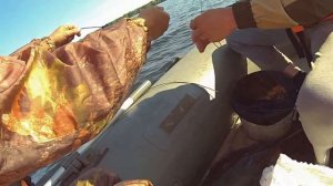 Дебют по сому на выползка. Открыли сезон ловлей сома на перемет.