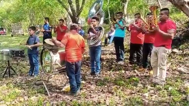 banda de viento de palma real benito juarez veracruz смотреть онлайн