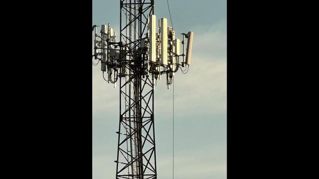 Verizon Wireless | Network Update ‼️‼️‼️?? смотреть онлайн