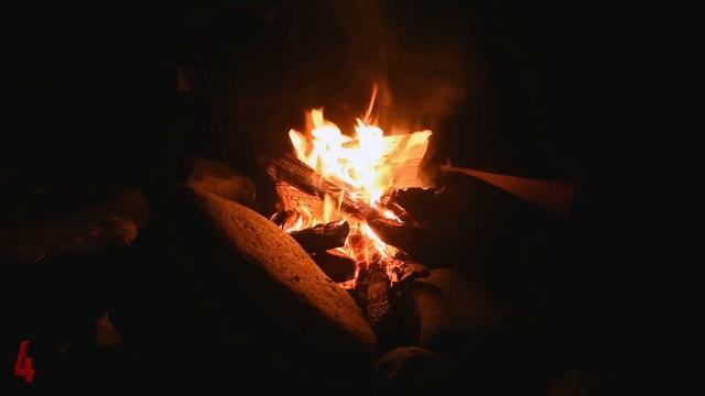 6 SCARY FOREST STORIES | PARK RANGER, SKINWALKER, DOGMAN, DEEP WOODS, CRYPTIDS смотреть онлайн