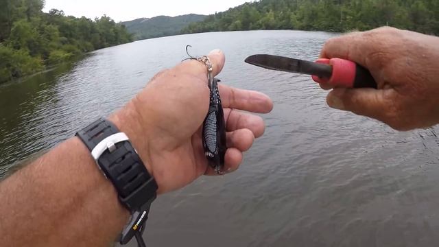 How To Remove A Fish Hook Quick and Easy! смотреть онлайн
