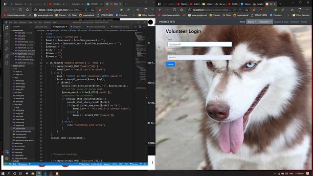 CSE299 Animal Rescue system- Volunteer register, login, profile using php смотреть онлайн