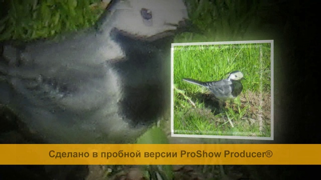 Май в Москве смотреть онлайн