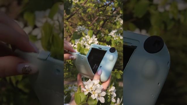 Моя радость – Instax Mini 12? #instaxmini12 #fujifilm #fuji #instax #инстакс #мгновеннаяфотопечать смотреть онлайн