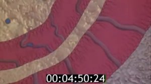 Жизнь Бактериальной Клетки