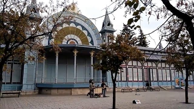 Черный кот в парке Цветник Пятигорск.mp4 смотреть онлайн