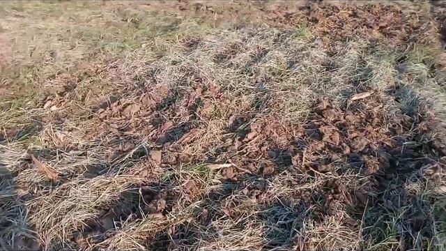 Что делать если земля как бетон Высадка Капусты Брокколи смотреть онлайн