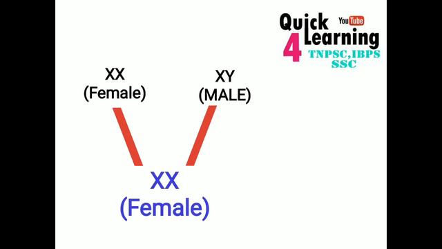 Sex Chromosome in Tamil | BIOLOGY - TNPSC-SSC| ALL COMPETITIVE EXAM| смотреть онлайн