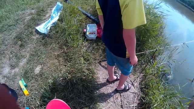 Кастинговая сеть 6М "рыба кипит" ловим сазана на глухом пруду! смотреть онлайн