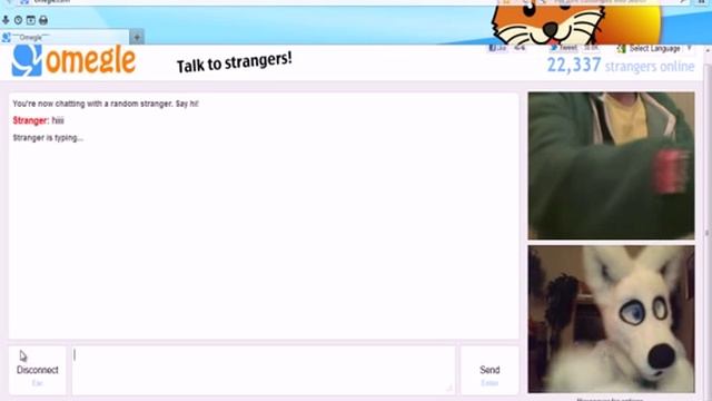 Omegle Reactions to a Furry смотреть онлайн