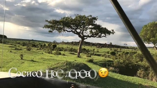 Африка! Кения, едем на Сафари. Часть 1