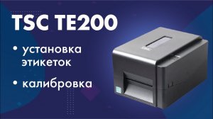 Установка этикеток в принтер TSC TE200 и калибровка принтера
