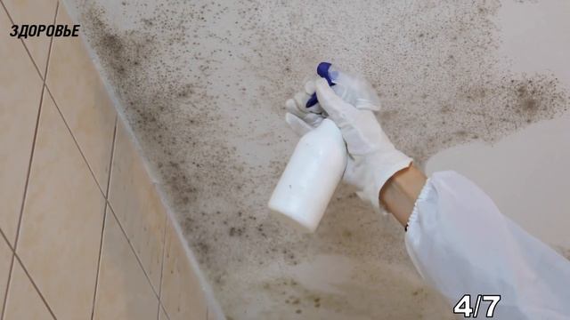 Как избавиться от грибка и плесени в квартире, доме или на даче! Убрать влагу в квартире, доме смотреть онлайн