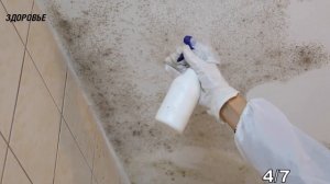 Как избавиться от грибка и плесени в квартире, доме или на даче! Убрать влагу в квартире, доме