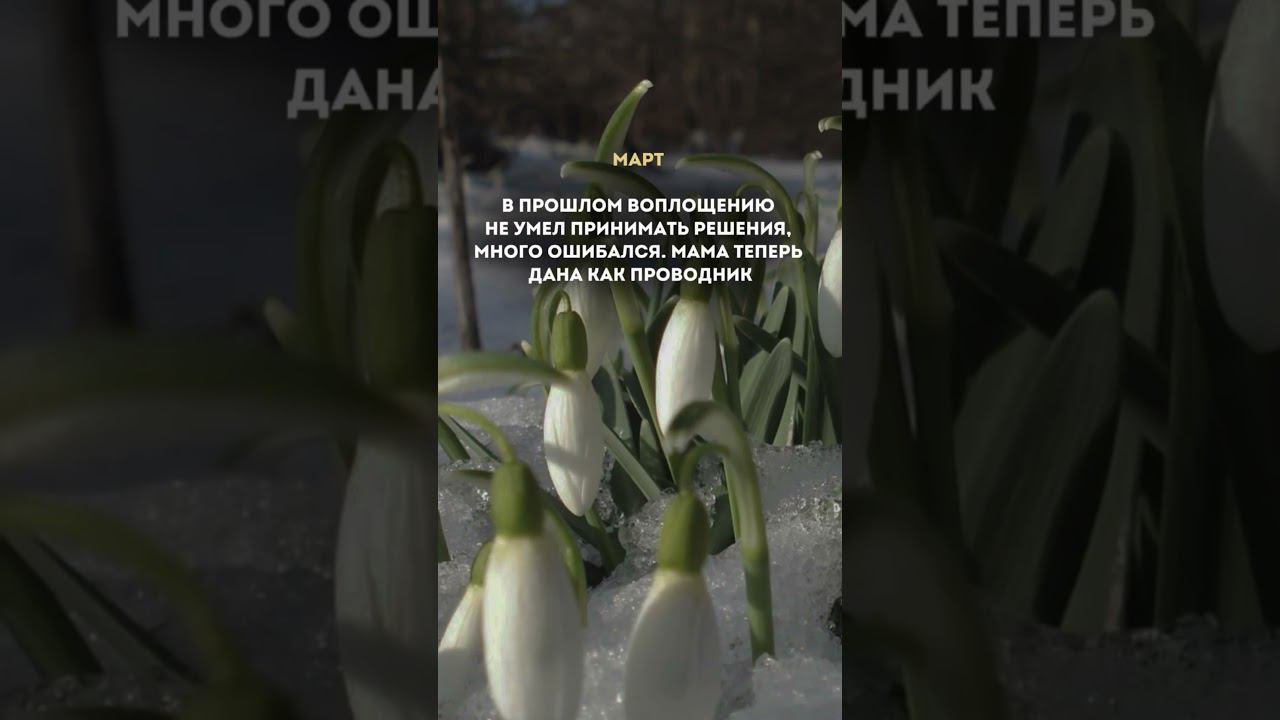 Зачем ребенок пришел в твою семью? Смотри месяц рождения смотреть онлайн