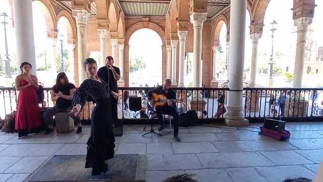 La Flamenco Dance Show Abril 2023 Ep.8 | Plaza España Sevilla #sevillanas #plazaespaña #sevilla смотреть онлайн
