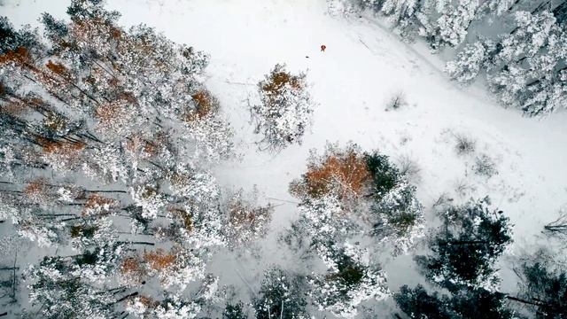 Первый снег в Воронеже в 2020 смотреть онлайн