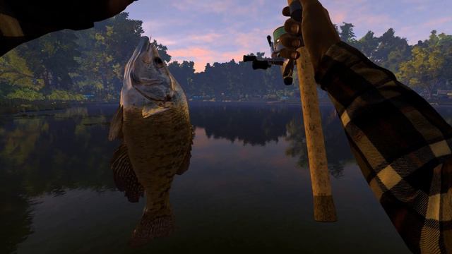 Обзор игры Fishing Planet смотреть онлайн