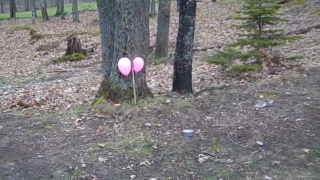 Bullet split on ax смотреть онлайн