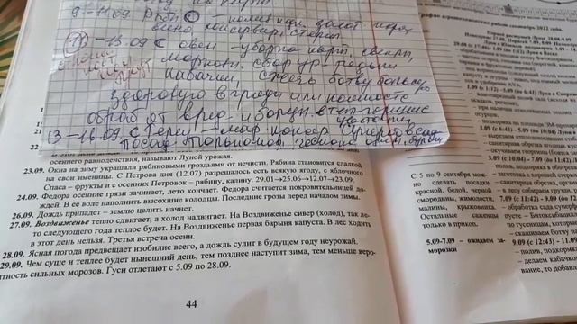 Лунный сентябрь. смотреть онлайн