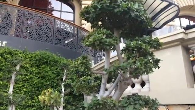 Монако - страна роскоши и соблазнов. смотреть онлайн