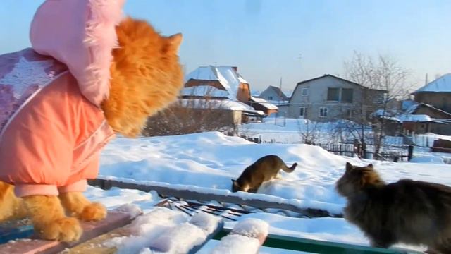 Сання ( Sunny - mini), Солнышко, Рыч и Тёма. смотреть онлайн