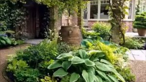 Хоста в саду.  Ландшафтные хитрости.  Лучшие соседи