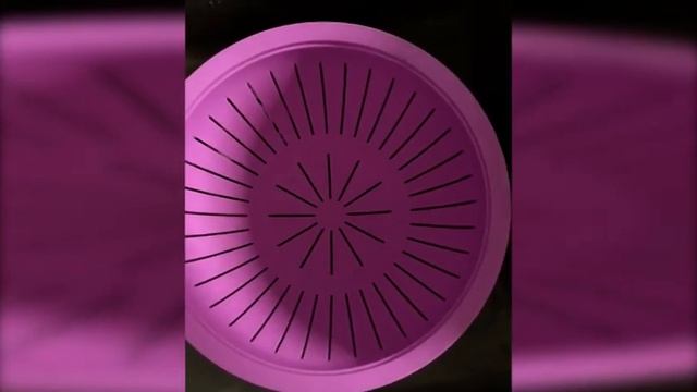 Кулинарный кругосвет