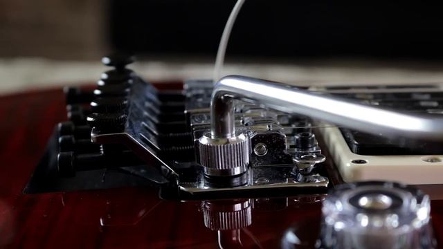 Floyd Rose Bridge Maintenance (For Dummies)