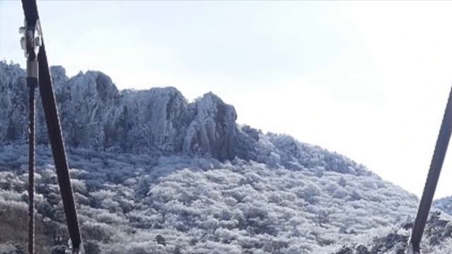 YURIKO's CELLO Bach cello suite 1 смотреть онлайн