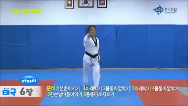 ПХУМСЭ №6 «ТЭГУК ЮК ДЖАН» 2 гып. Taekwondo WT смотреть онлайн