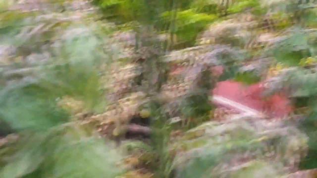 УРОЖАЙ В ОКТЯБРЕ! ЭФФЕКТИВНОСТЬ ФИТОСВЕТИЛЬНИКОВ смотреть онлайн