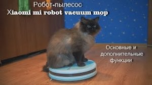Робот-пылесос Xiaomi Mi Robot Vacuum Mop. Основные и дополнительные функции