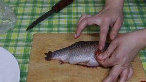 Как извлечь желчь из карася?