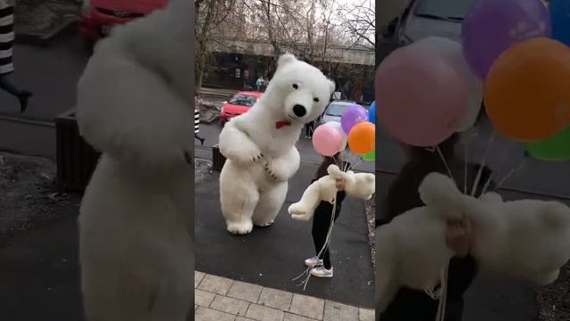 Мишка белый смотреть онлайн