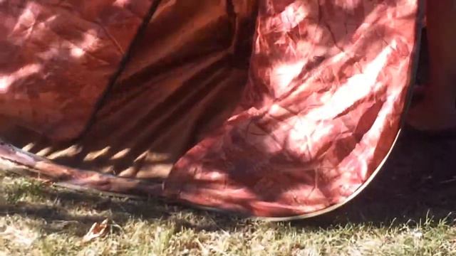 Венгерская выжла-готовимся палатку к отдыху