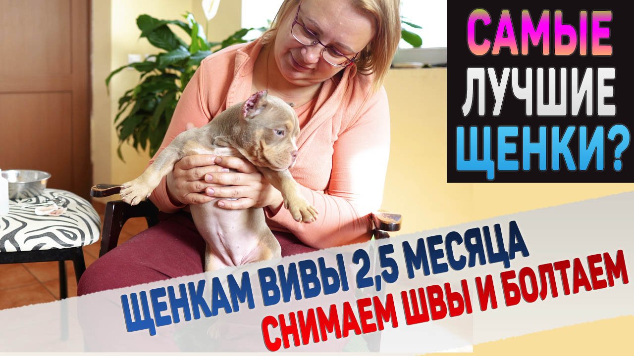 Щенки - просто Супер! Кого оставили себе и кто уезжает? Смотрим как зажили ушки. смотреть онлайн