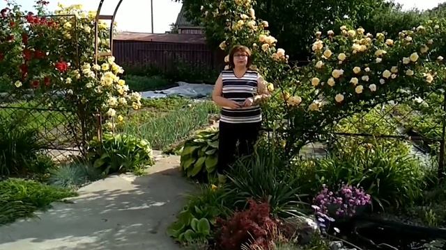 Шланг "Туман". Четвертый год полива. Какие преимущества и недостатки увидели за это время. . смотреть онлайн