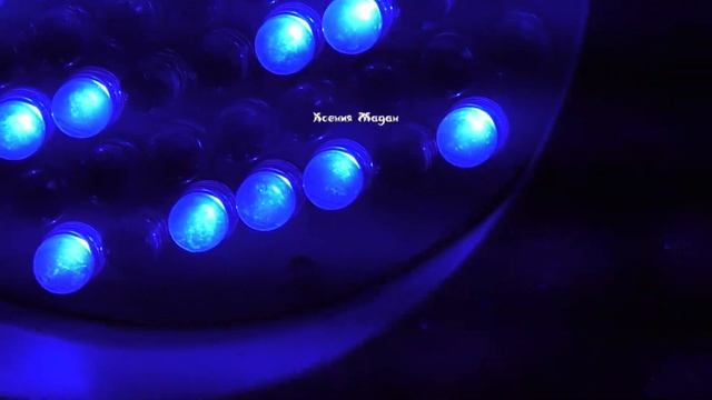 Тизер "Вечеринка в стиле 90-х" смотреть онлайн