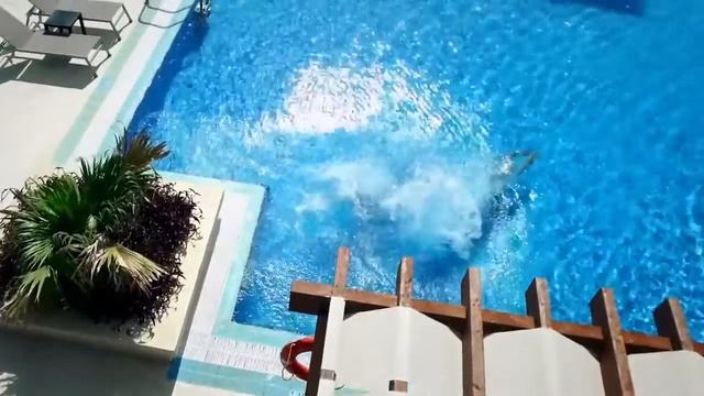 PULLMAN CAYO COCO 5* Куба смотреть онлайн