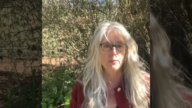 Intro to Salal (Gaultheria shallon) - Cedar Mountain Herb School смотреть онлайн
