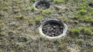 Как предотвратить расползание малины по участку.