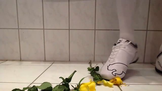 Puma vs. rose смотреть онлайн