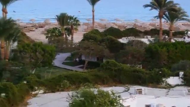 Декабрьский отдых  - Отель Shams Safaga, Египет