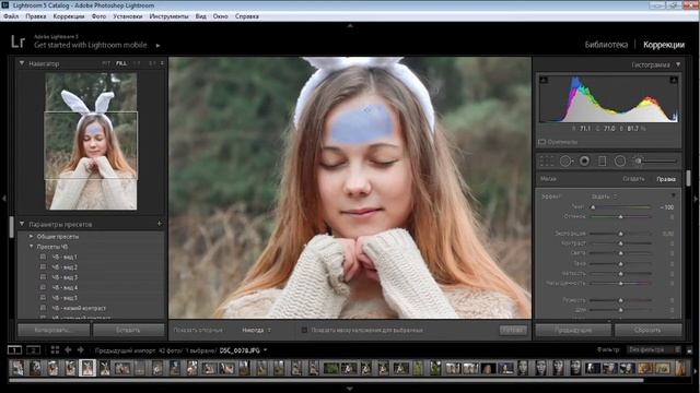 ретуш кожи в лайтруме для чайников(Lightroom) смотреть онлайн
