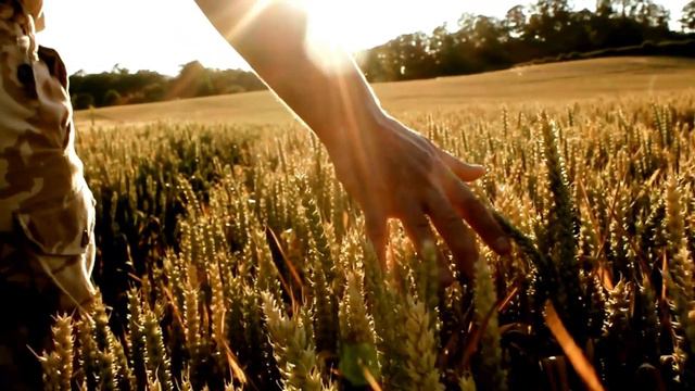 ¡La Magia de la ''Afirmación Millonaria'' de Catherine Ponder en Detalle! смотреть онлайн