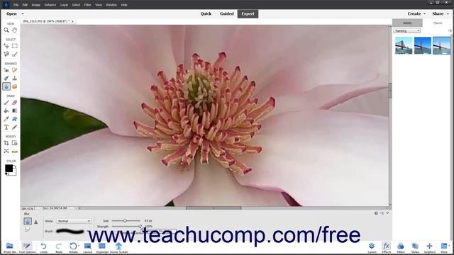 Learn How to Use the Blur Tool and Sharpen Tool in Adobe Photoshop Elements 2022 Training Tutorial смотреть онлайн
